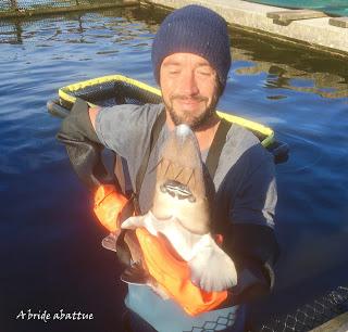 Esturgeon en deux façons avec caviar