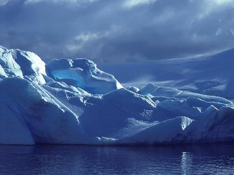 Divers - de magnifiques photos - 1