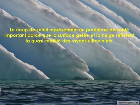 Divers - de magnifiques photos - 1