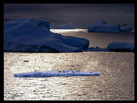 Divers - de magnifiques photos - 1