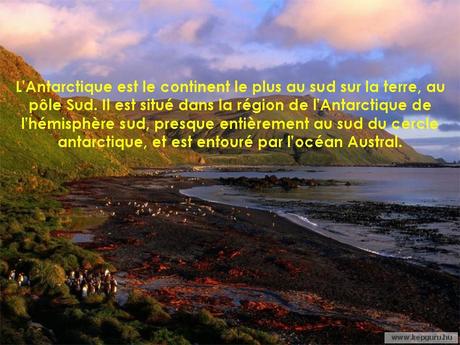 Divers - de magnifiques photos - 1