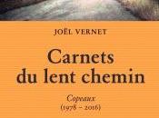 Joël Vernet, Carnets lent chemin, Copeaux Angèle Paoli