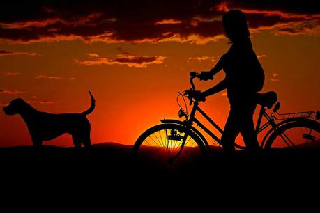 Comment choisir une remorque vélo pour chien ?