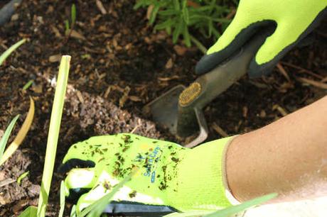 Comment s’habiller pour les travaux de jardinage ?