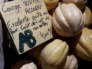Courge White Accorn farcie à la semoule et carotte Cliquer sur les photographies pour les agrandir