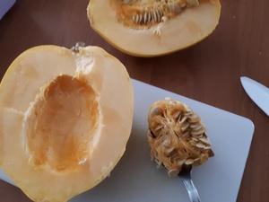 Courge White Accorn farcie à la semoule et carotte Cliquer sur les photographies pour les agrandir