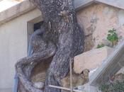 Divers Quand nature s'en mêle