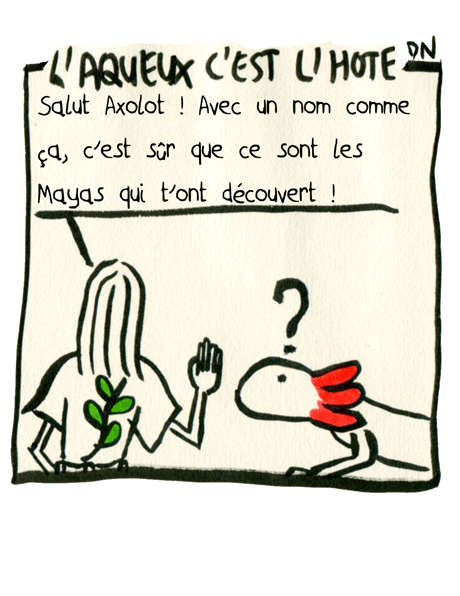 Axolot, le Bestiaire Extraordinaire, la chronique parasite Axolot, le Bestiaire Extraordinaire, la chronique parasite