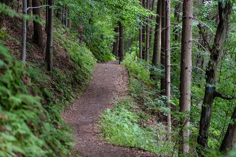 10 astuces pour progresser en VTT 10 astuces pour progresser en VTT