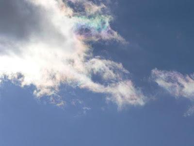 Grandeur de la nature, misère de la culture