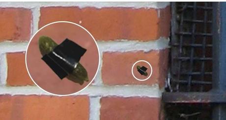 L'oeuvre artistique de la semaine