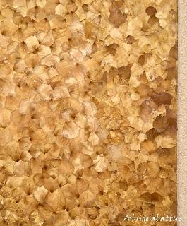 Traces du végétal à la Maison des Arts d'Antony (92)