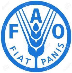 Les enjeux cognitifs d’une politique de puissance :  l’élection pour la direction générale de la Food and Agriculture Organization (FAO)