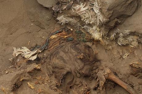 Des archéologues découvrent une coiffe et un tabard de la culture Chimú au Pérou