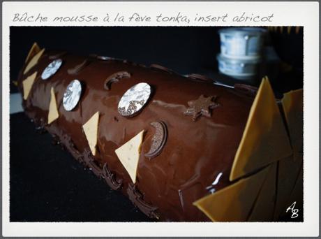 Bûche mousse à la fève tonka, insert abricot et glaçage brillant chocolat noir Bûche mousse à la fève tonka, insert abricot et glaçage brillant chocolat noir