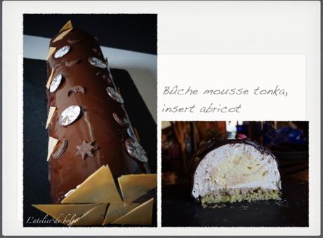 Bûche mousse à la fève tonka, insert abricot et glaçage brillant chocolat noir Bûche mousse à la fève tonka, insert abricot et glaçage brillant chocolat noir
