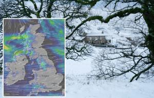 Info bière – Maman, 35 ans, coupable de cruauté envers les enfants après avoir versé de la morphine liquide dans de la bière bue par son fils, 15 ans, ce qui a conduit à sa mort – The Sun
 – Houblon