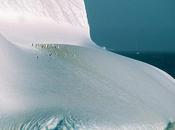 Divers magnifiques photos