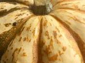 Patidou farci oeuf cocotte