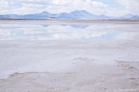 Salar de Surire désert d’Atacama: c’est beau à en pleurer! Salar de Surire désert d’Atacama: c’est beau à en pleurer!