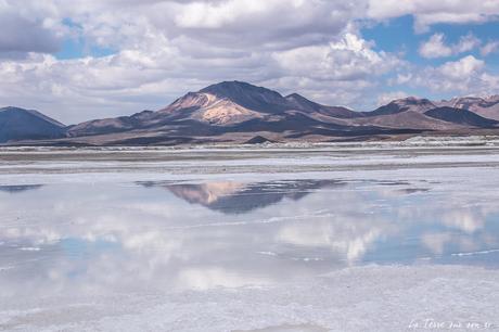 Salar de Surire désert d’Atacama: c’est beau à en pleurer! Salar de Surire désert d’Atacama: c’est beau à en pleurer!