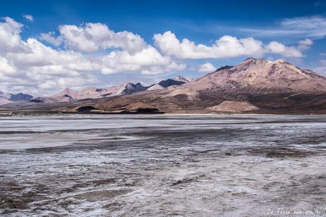 Salar de Surire désert d’Atacama: c’est beau à en pleurer! Salar de Surire désert d’Atacama: c’est beau à en pleurer!