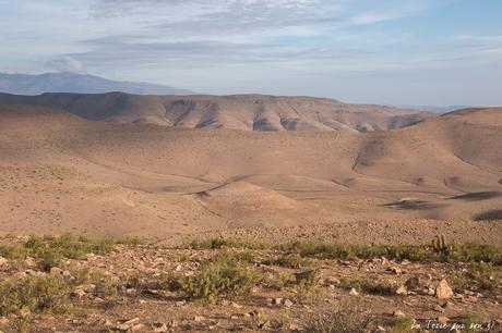 Salar de Surire désert d’Atacama: c’est beau à en pleurer! Salar de Surire désert d’Atacama: c’est beau à en pleurer!