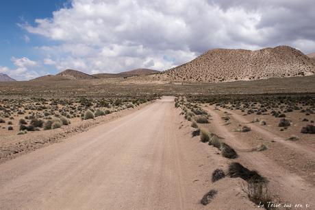 Salar de Surire désert d’Atacama: c’est beau à en pleurer! Salar de Surire désert d’Atacama: c’est beau à en pleurer!