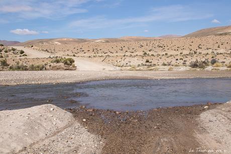 Salar de Surire désert d’Atacama: c’est beau à en pleurer! Salar de Surire désert d’Atacama: c’est beau à en pleurer!