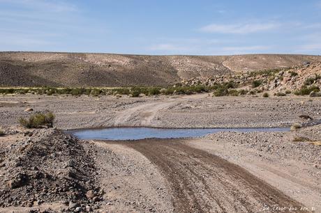 Salar de Surire désert d’Atacama: c’est beau à en pleurer! Salar de Surire désert d’Atacama: c’est beau à en pleurer!