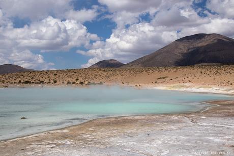 Salar de Surire désert d’Atacama: c’est beau à en pleurer! Salar de Surire désert d’Atacama: c’est beau à en pleurer!