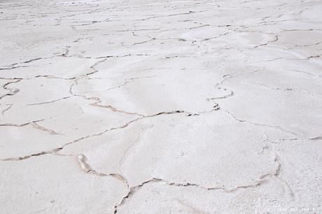 Salar de Surire désert d’Atacama: c’est beau à en pleurer! Salar de Surire désert d’Atacama: c’est beau à en pleurer!