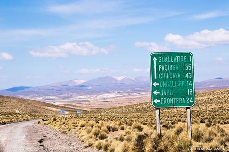 Salar de Surire désert d’Atacama: c’est beau à en pleurer! Salar de Surire désert d’Atacama: c’est beau à en pleurer!