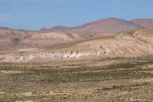 Salar de Surire désert d’Atacama: c’est beau à en pleurer! Salar de Surire désert d’Atacama: c’est beau à en pleurer!