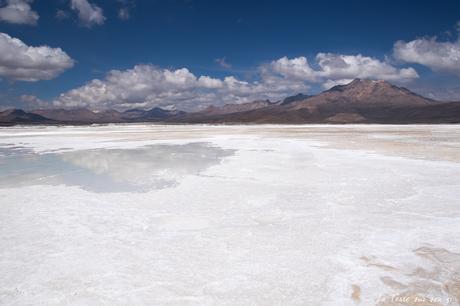 Salar de Surire désert d’Atacama: c’est beau à en pleurer! Salar de Surire désert d’Atacama: c’est beau à en pleurer!
