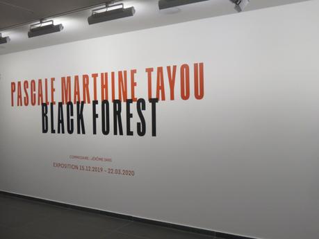 En immersion dans Black Forest