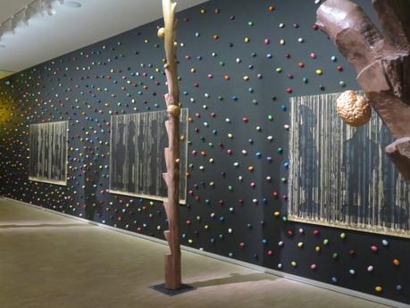 En immersion dans Black Forest