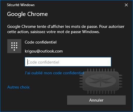 Comment récupérer les mots de passe stockés par Google Chrome Chrome Password