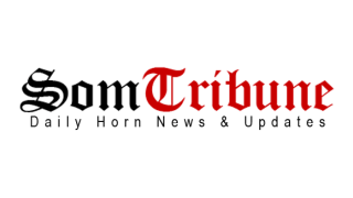 Craft beer – Bière brune dans un dôme de glace et de chocolat par le chef Takashi Kinoshita – Nouvelles similaires

 – Malt