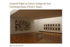 Cozier Tropical Night