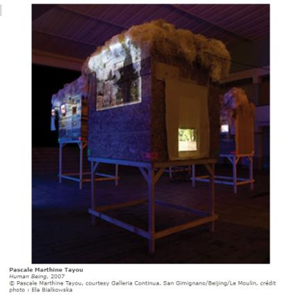 Human being @work 2007