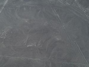 143 nouveaux géoglyphes découverts sur la Nazca Pampa et ses environs