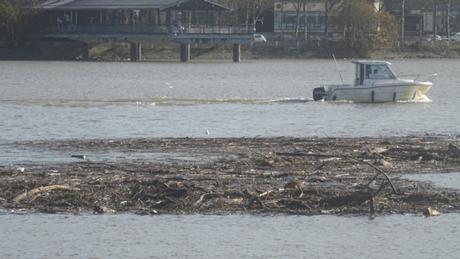 Ce que la Garonne charrie