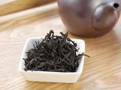 noir Sashima, flush, cultivar Sayama kaori