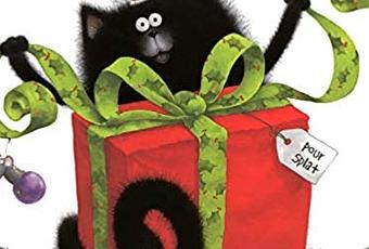Joyeux Noël, Splat ! - À Lire