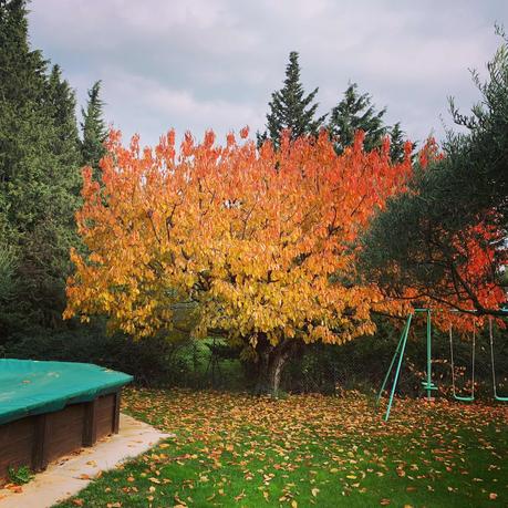 Instagram d’automne gardois #Gard Instagram d’automne gardois #Gard