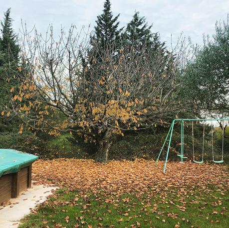 Instagram d’automne gardois #Gard Instagram d’automne gardois #Gard