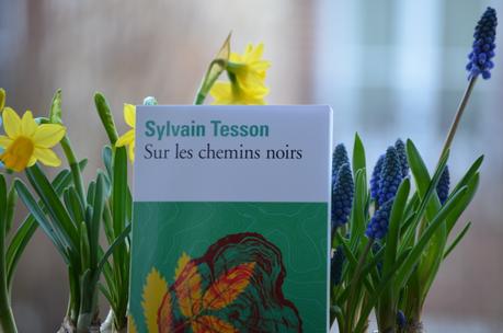 Mon calendrier de l'avent - Le livre qui ne rentre dans aucune catégorie Mon calendrier de l'avent - Le livre qui ne rentre dans aucune catégorie