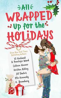 Mon avis sur The Package, une nouvelle de K Bromberg dans le recueil All wrapped up for the Holidays