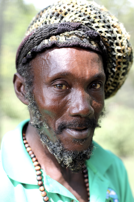 Craft beer – Barbade, sauce Bajan des Caraïbes

 – Malt